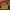 Guess the Cup